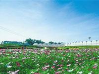 與河北省生態(tài)文明建設(shè)促進(jìn)會(huì)合作，提供單位官網(wǎng)網(wǎng)站改版工作