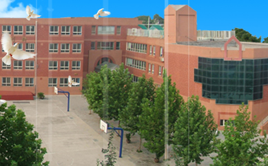 藍(lán)點(diǎn)助力石家莊中華大街小學(xué)，網(wǎng)站改版升級(jí)