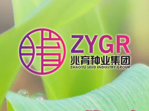 【簽約】河北兆育種業(yè)集團(tuán)有限公司，簽署網(wǎng)站改版升級(jí)合同