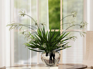 【簽約】張家口智仁商貿(mào)有限公司，網(wǎng)站系統(tǒng)開發(fā)項(xiàng)目