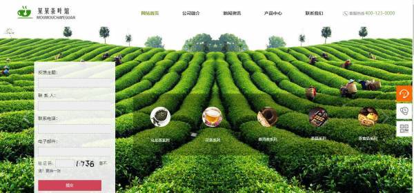 網(wǎng)站建設(shè)公司，如何展現(xiàn)企業(yè)實力與風(fēng)采？