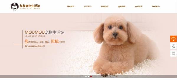 企業(yè)網(wǎng)站建設，插畫形象當作網(wǎng)站中主體