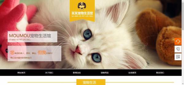 公司網(wǎng)站制作，云端訪問(wèn)利用功能